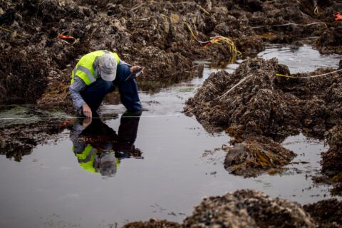 Scientists Decry Human Indifference to: Probable Sixth Mass Extinction