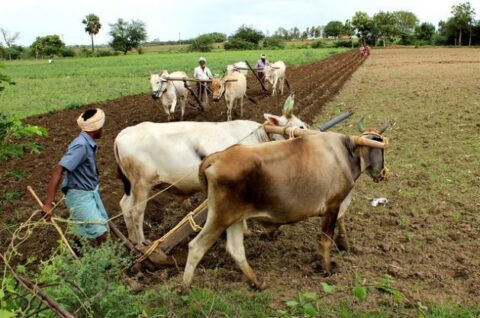 We Need Biodiversity-Based Agriculture to Solve the Climate Crisis